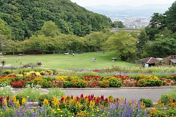 和歌山県植物公園 緑化センター パノラマ花壇 Sabioの隠れ家