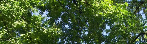 b0192672_16593624.jpg