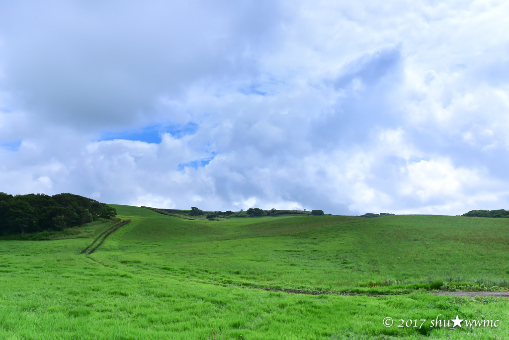 北国の夏はうたかた：9：草原と空_a0142976_18061548.jpg