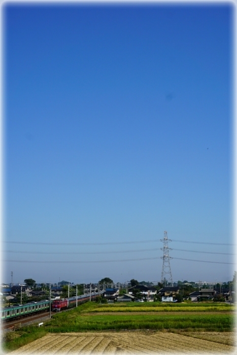 d0341483_18032668.jpg