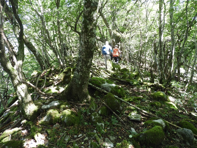 天主山へ、鴨猪登山口から、29日_f0357487_14555761.jpg