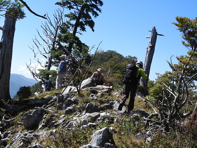 天主山へ、鴨猪登山口から、29日_f0357487_14594040.jpg