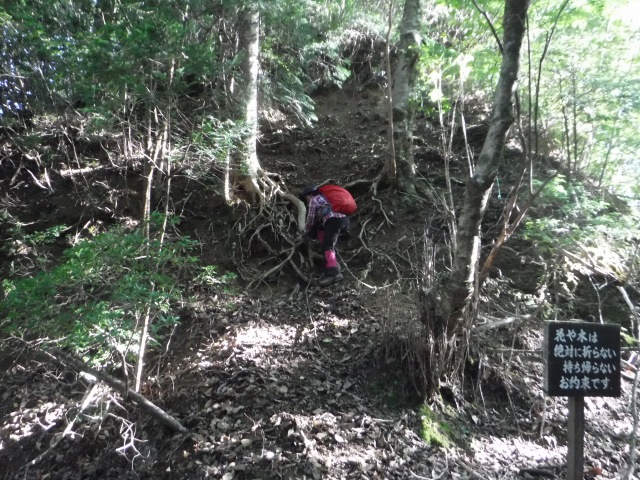 f0357487_15101318.jpg