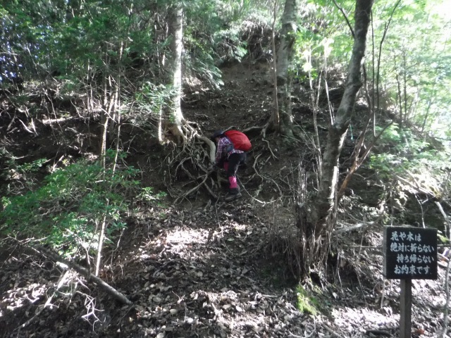 天主山へ、鴨猪登山口から、29日_f0357487_15101318.jpg