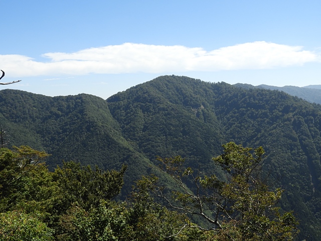 天主山へ、鴨猪登山口から、29日_f0357487_1524175.jpg