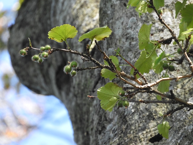 f0357487_1582754.jpg