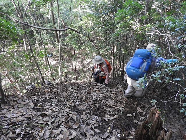 天主山へ、鴨猪登山口から、29日_f0357487_1593466.jpg