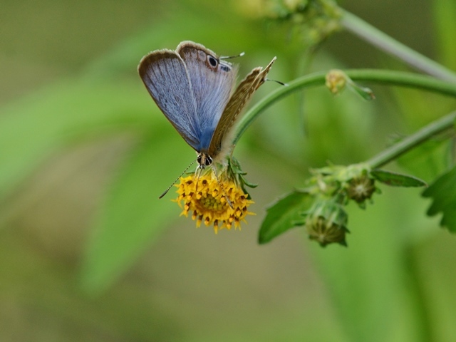 f0310988_21000464.jpg