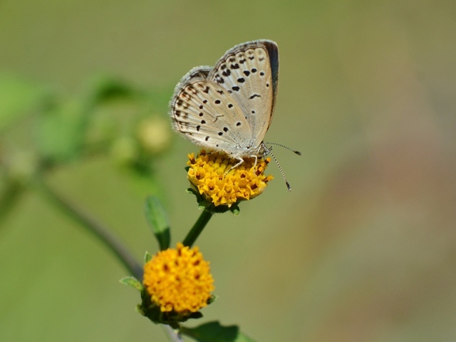 f0310988_21121566.jpg