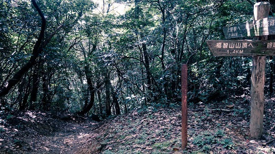 e0176993_07215402.jpg