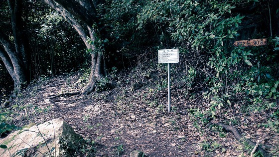 e0176993_07215593.jpg