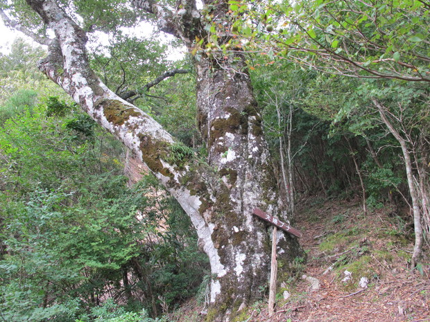 a0166196_17204764.jpg