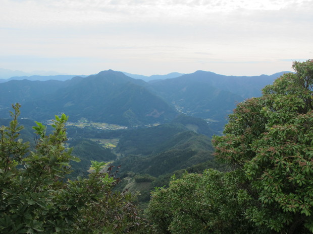 a0166196_1724688.jpg