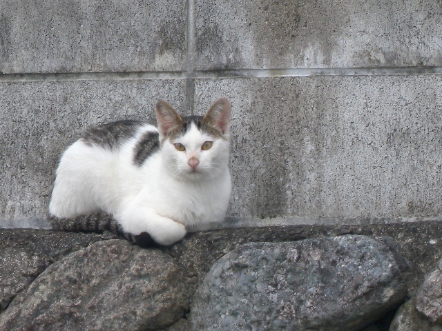 海の画廊「白 稜」 （海野宿でアートを楽しむ「sirocco