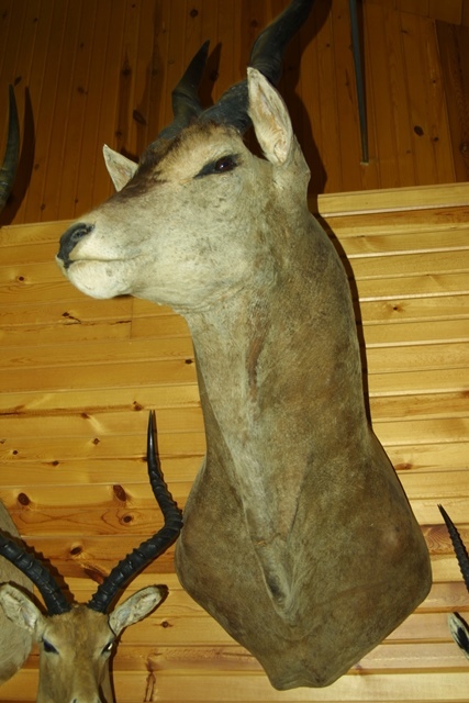 c0062603_12041574.jpg