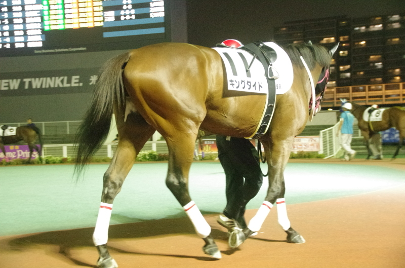 キングタイド 18戦目@大井競馬場 ９R 2017.10.3_f0368205_20235078.jpg