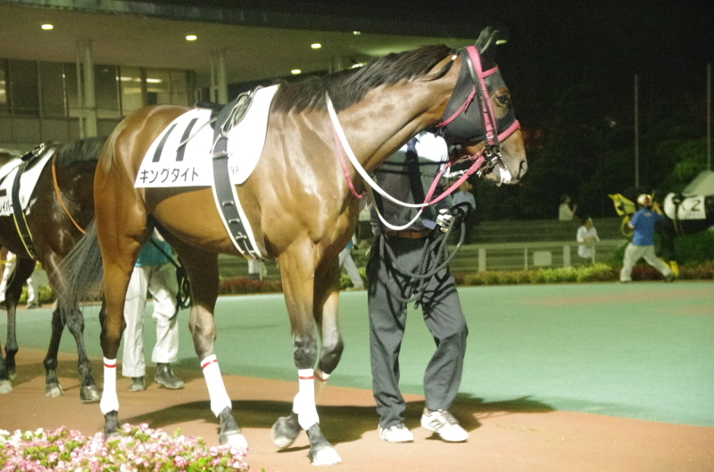 キングタイド 18戦目@大井競馬場 ９R 2017.10.3_f0368205_20235986.jpg