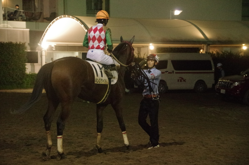 キングタイド 18戦目@大井競馬場 ９R 2017.10.3_f0368205_20245166.jpg