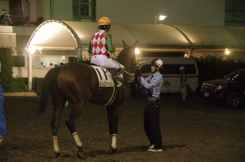 キングタイド 18戦目@大井競馬場 ９R 2017.10.3_f0368205_20250335.jpg