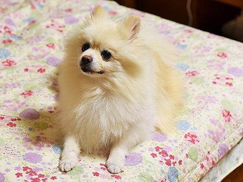 ぼくの居る場所_d0360206_02200209.jpg