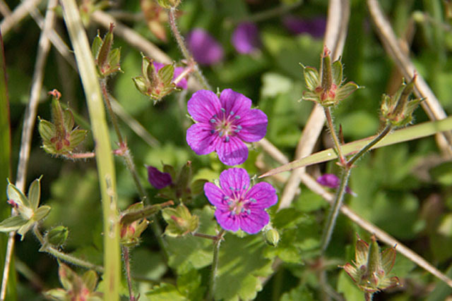 b0014607_20463420.jpg