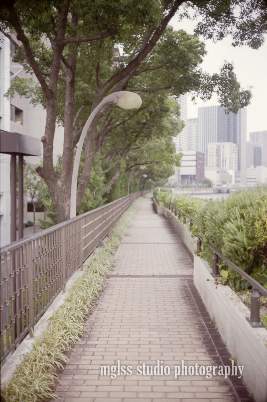 Canon New Canonet QL17の試写_f0145608_17005200.jpg