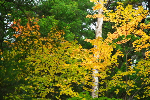 a0263109_07314391.jpg