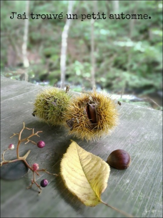 b0086909_08362570.jpg