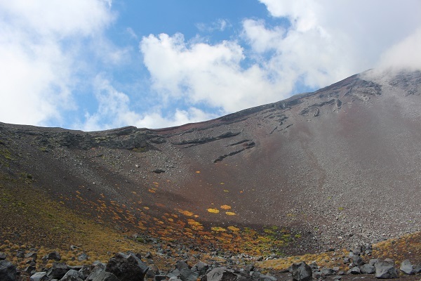 c0178009_18374095.jpg