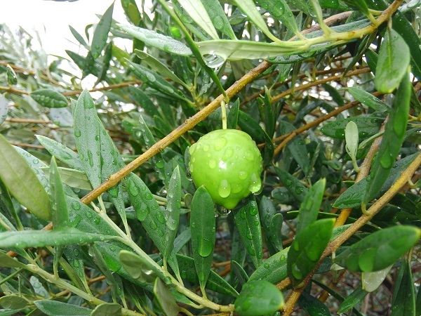 e0360409_15055115.jpg