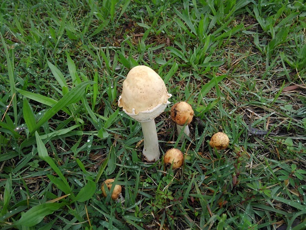 e0360409_15060183.jpg