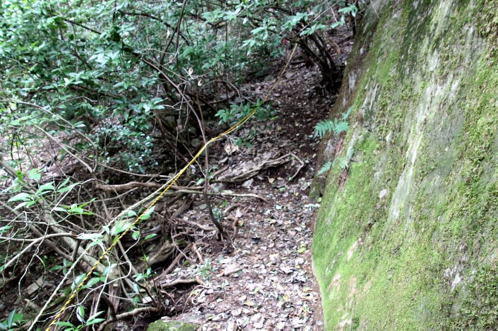 f0212511_21530064.jpg
