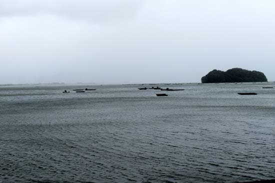 雨の小浜港_e0048413_19494606.jpg