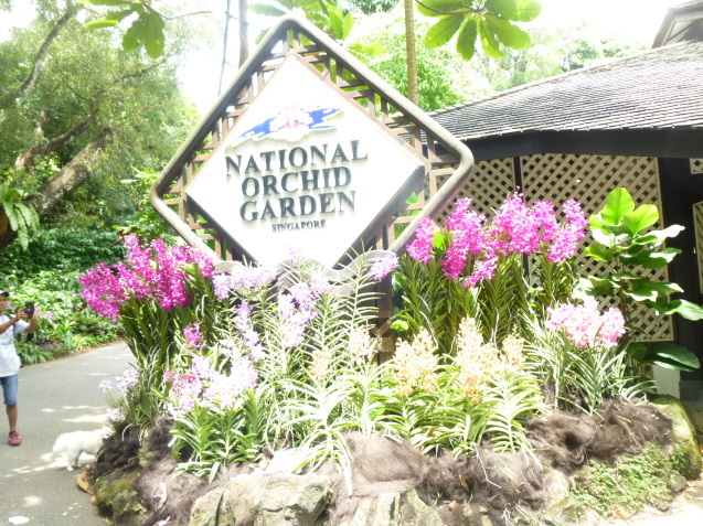シンガポール植物園(ボタニカルガーデン)2_d0336014_00463527.jpg
