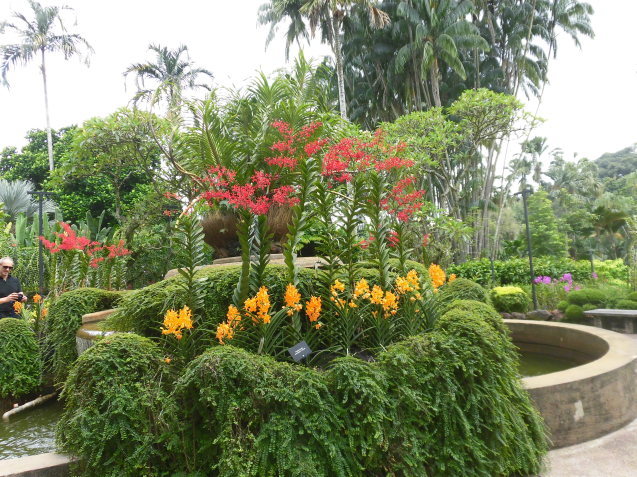 シンガポール植物園(ボタニカルガーデン)2_d0336014_00564965.jpg