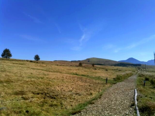 e0204314_08162827.jpg