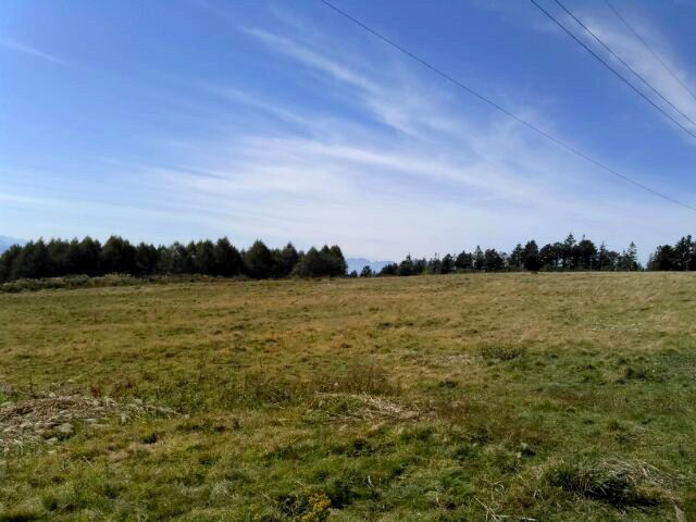 e0204314_08164008.jpg