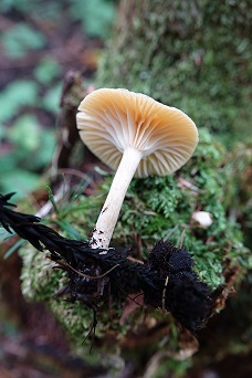 f0360815_16113625.jpg
