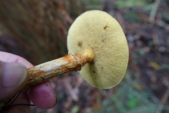 f0360815_16113676.jpg