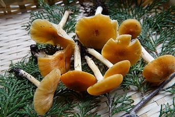 f0360815_16113743.jpg