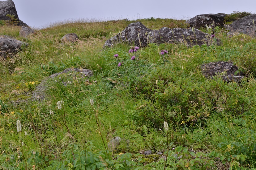 e0349817_22470221.jpg