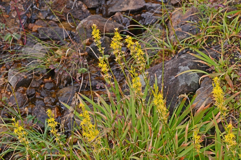 e0349817_22472051.jpg