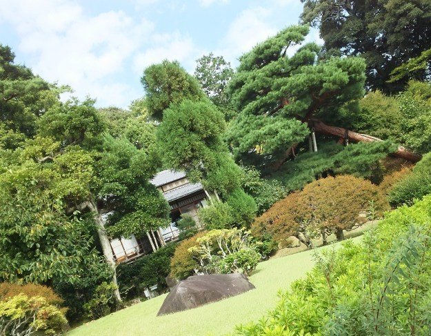 b0358719_14380820.jpg