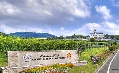 b0358719_14445300.jpg