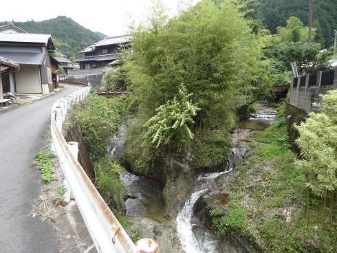 f0000521_07215928.jpg