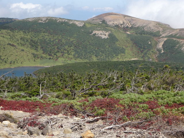 c0141223_18242556.jpg