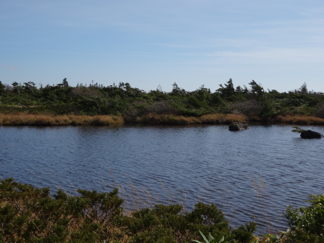 c0141223_18405187.jpg
