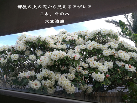 d0042827_13552471.jpg