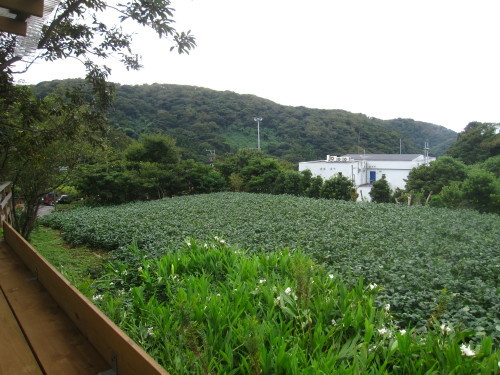 e0350927_09093384.jpg