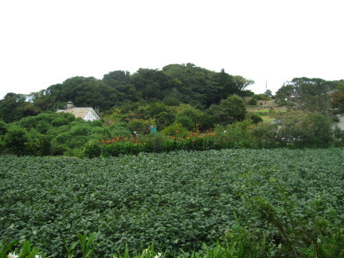 e0350927_09094287.jpg